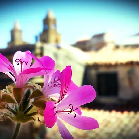 L&p 4* チェファル